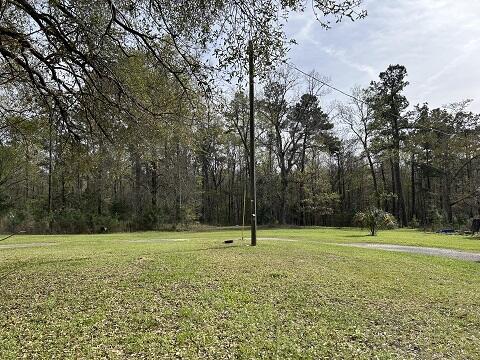 140 Bowers Lane Moncks Corner, SC 29461 - Photo 8 of 11 WOODS VIEW 10