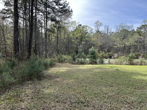 140 Bowers Lane Moncks Corner, SC 29461 - Photo 9 of 11 WOODS WITH POND VIEW 11