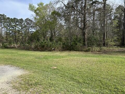 140 Bowers Lane Moncks Corner, SC 29461 - Photo 10 of 11 WOODS VIEW 12
