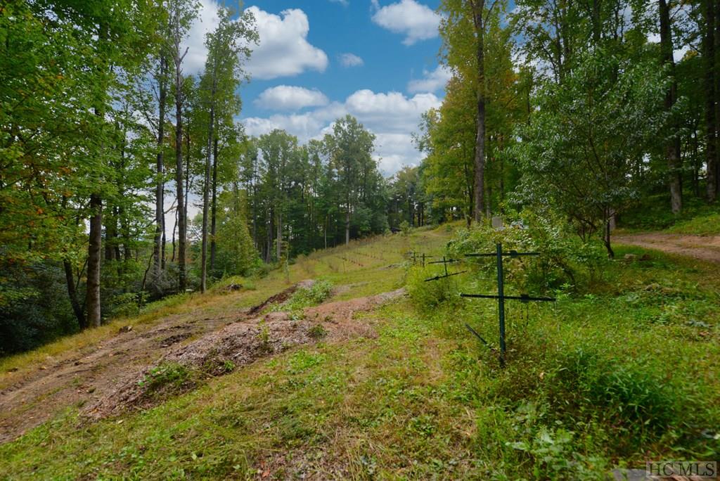 Off Jack Wilcox Road Highlands, NC 28741 - Photo 17 of 25 Gallery Image 17