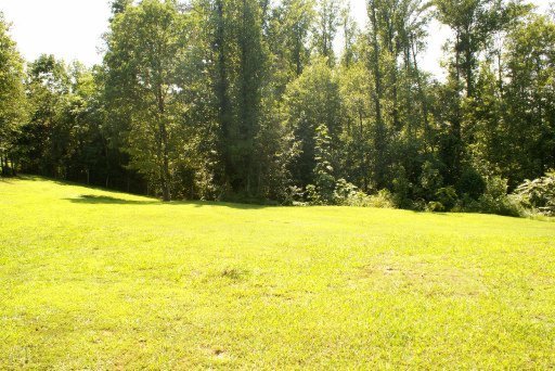 398 Blacks Ferry Road Knoxville, TN 37931 - Photo 22 of 22 Additional Photo