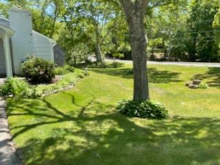 55 Clay Pond Road Monument Beach, MA 02532 - Photo 14 of 15 a view of a trees with yard