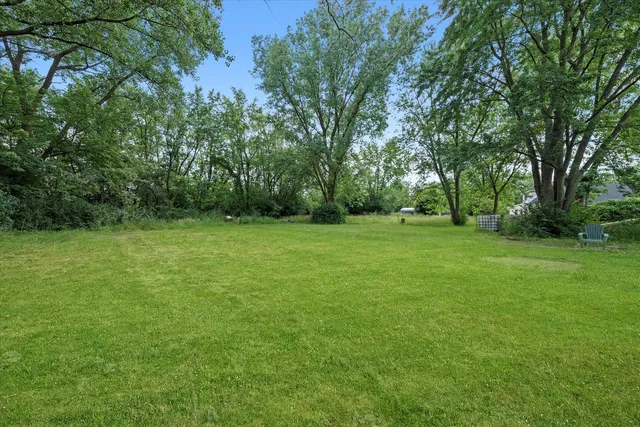 a view of a grassy field with trees