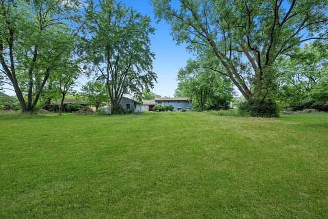 a view of a grassy field with trees