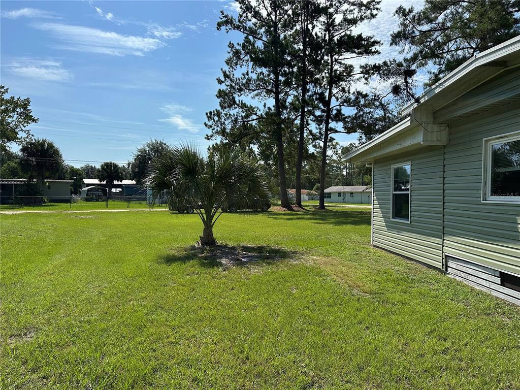 55045 6th Street Astor, FL 32102 - Photo 29 of 38 a view of a park with large trees