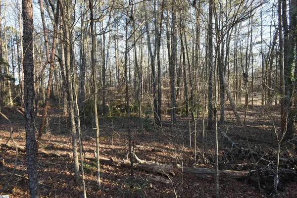 $65,000 | 0 Pamela Lane, Laurens, SC 29360