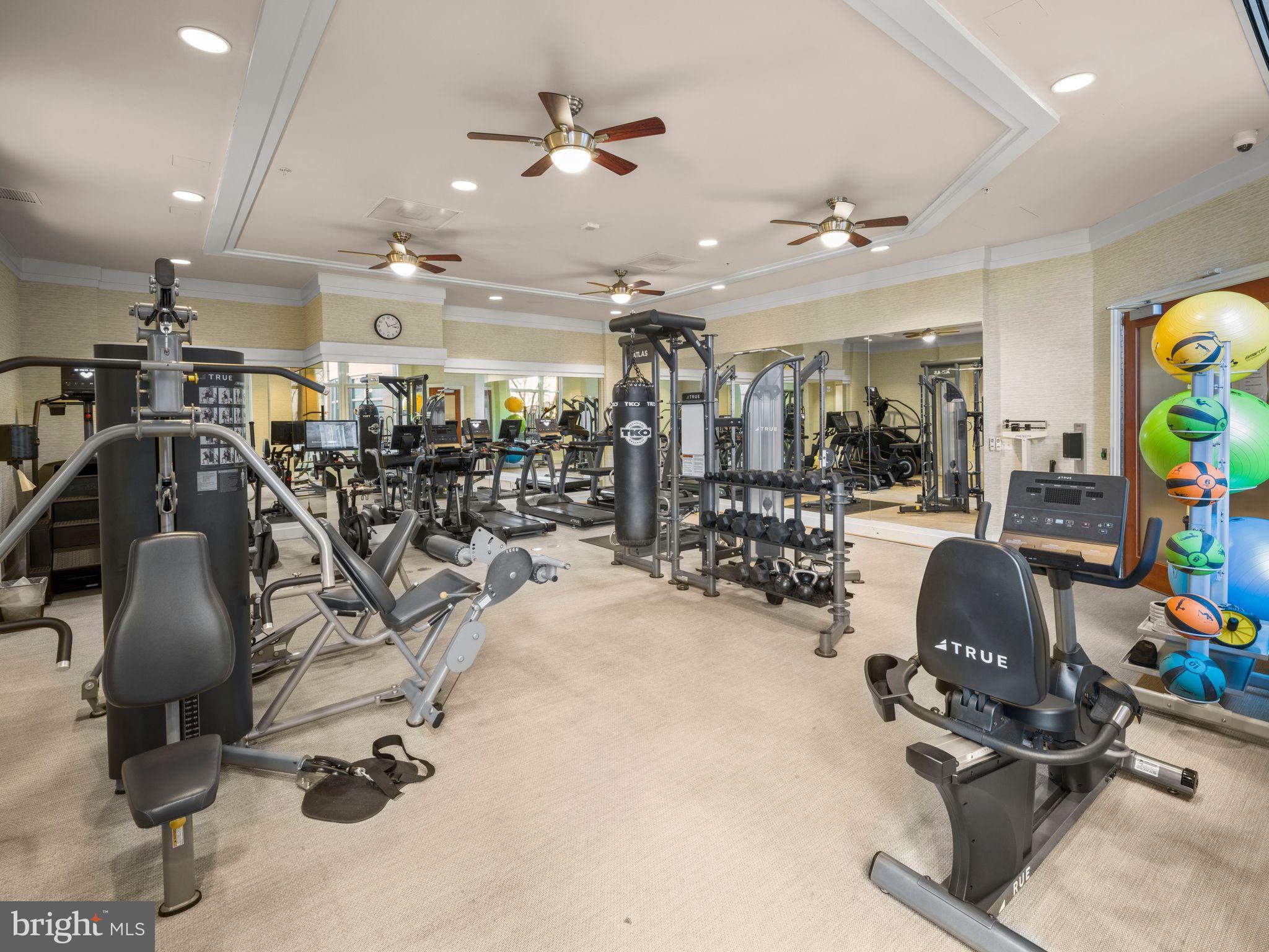8220 Crestwood Heights Drive, Unit 1215 McLean, VA 22102 - Photo 45 of 59 Modern fitness center with diverse equipment.