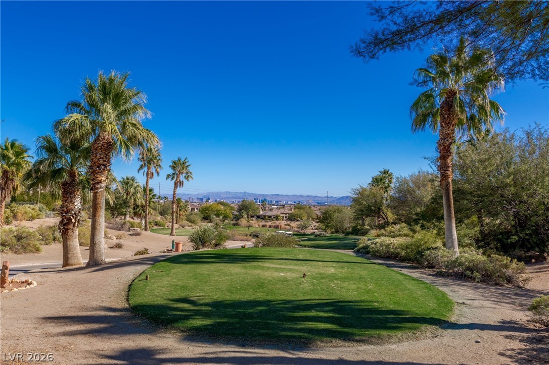 1975 Alcova Ridge Drive Las Vegas, NV 89135 - Photo 81 of 91