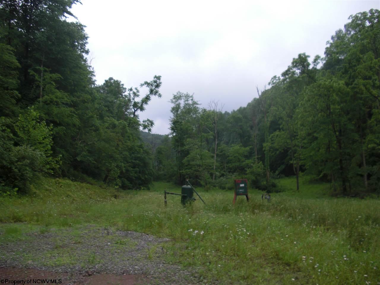 1065 Big Run Road Napier, WV 26631 - Photo 8 of 20 Gallery Image 8