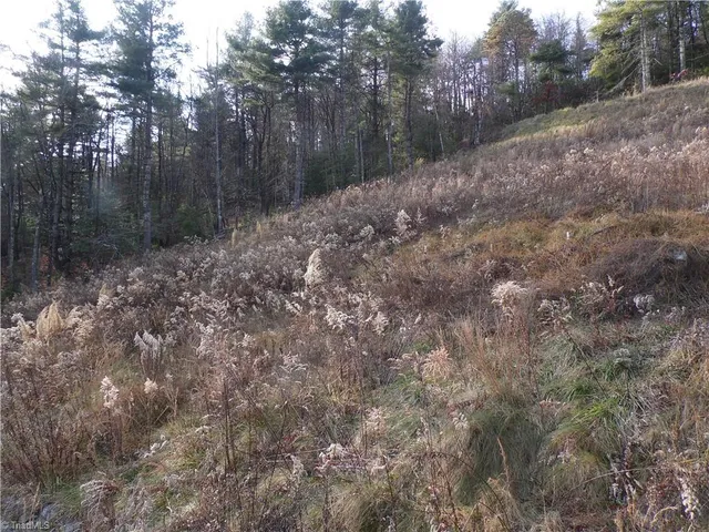 $29,900 | 4143 Mountain View Road, Glade Valley, NC 28627