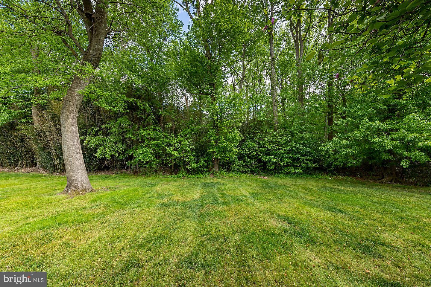 408 Country Way Mickleton, NJ 08056 - Photo 5 of 17 Gallery Image 5