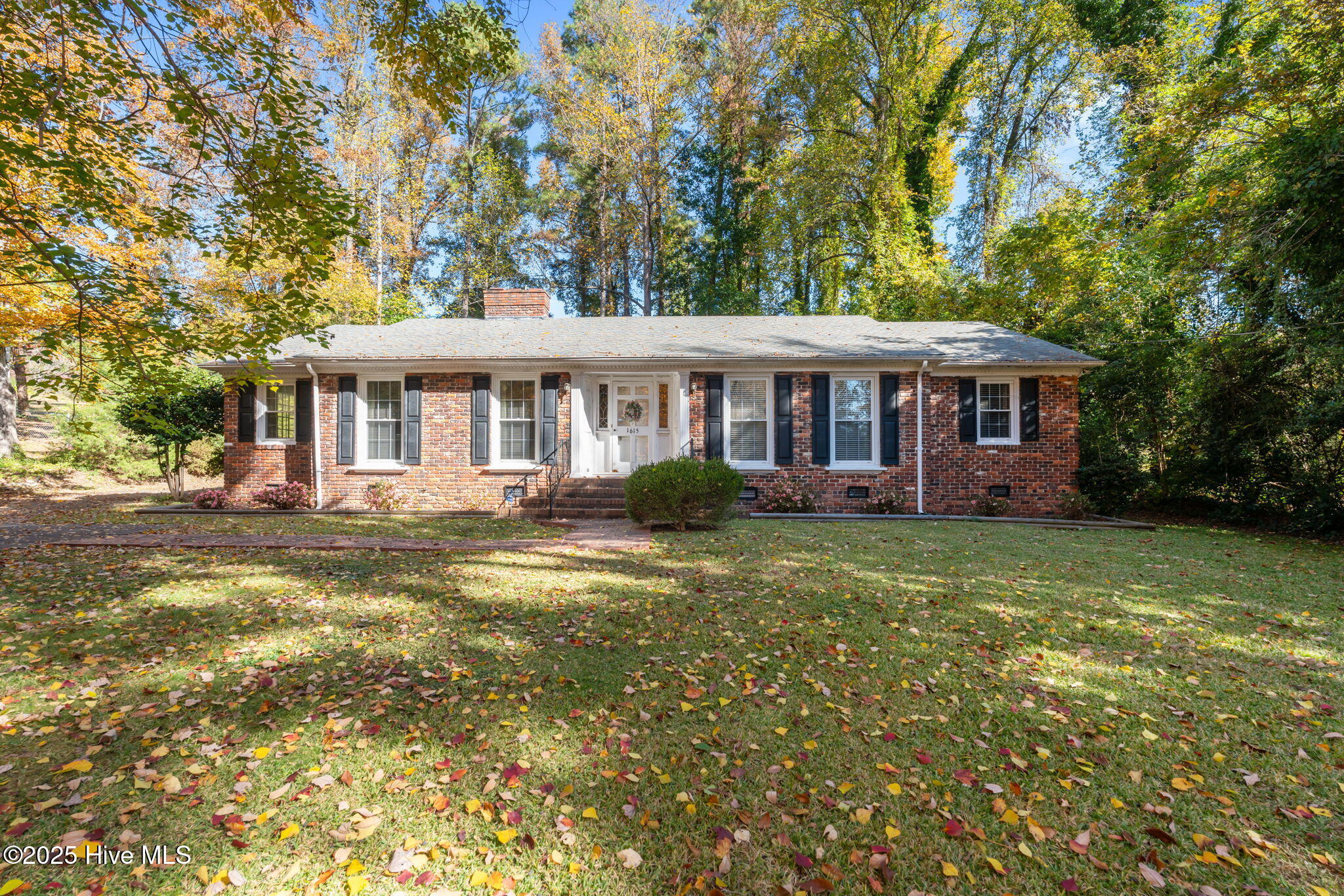 1615 Plum Nelly Road Rockingham, NC 28379 - Photo 41 of 51 1-web-or-mls-DSC01080