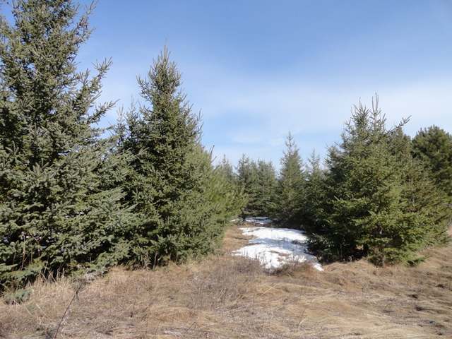 Lot 30 Pheasant View Drive Rhinelander, WI 54501 - Photo 3 of 20 Gallery Image 3