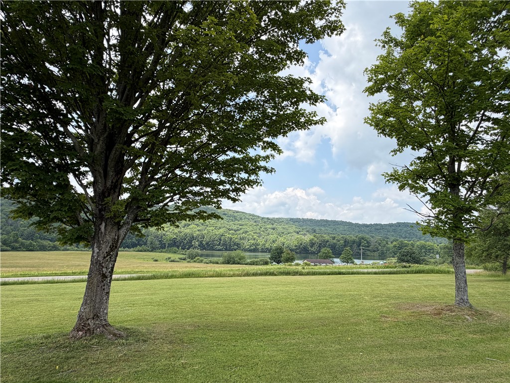 Vl Vl Lyndon Abbott Road Franklinville, NY 14737 - Photo 1 of 50