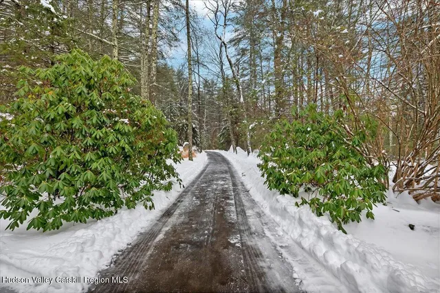 a view of a pathway both side of flower plants