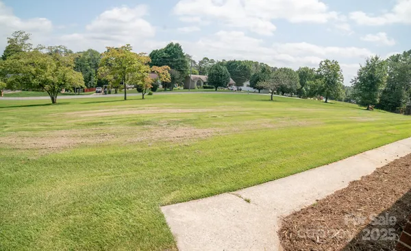 a view of a big yard with a large trees
