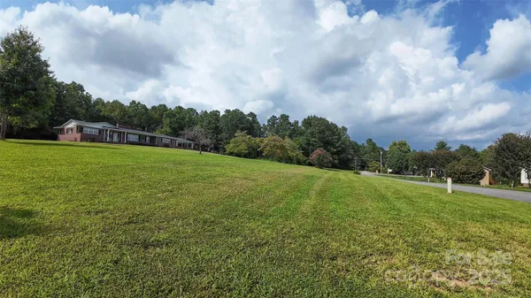a view of field with tall trees