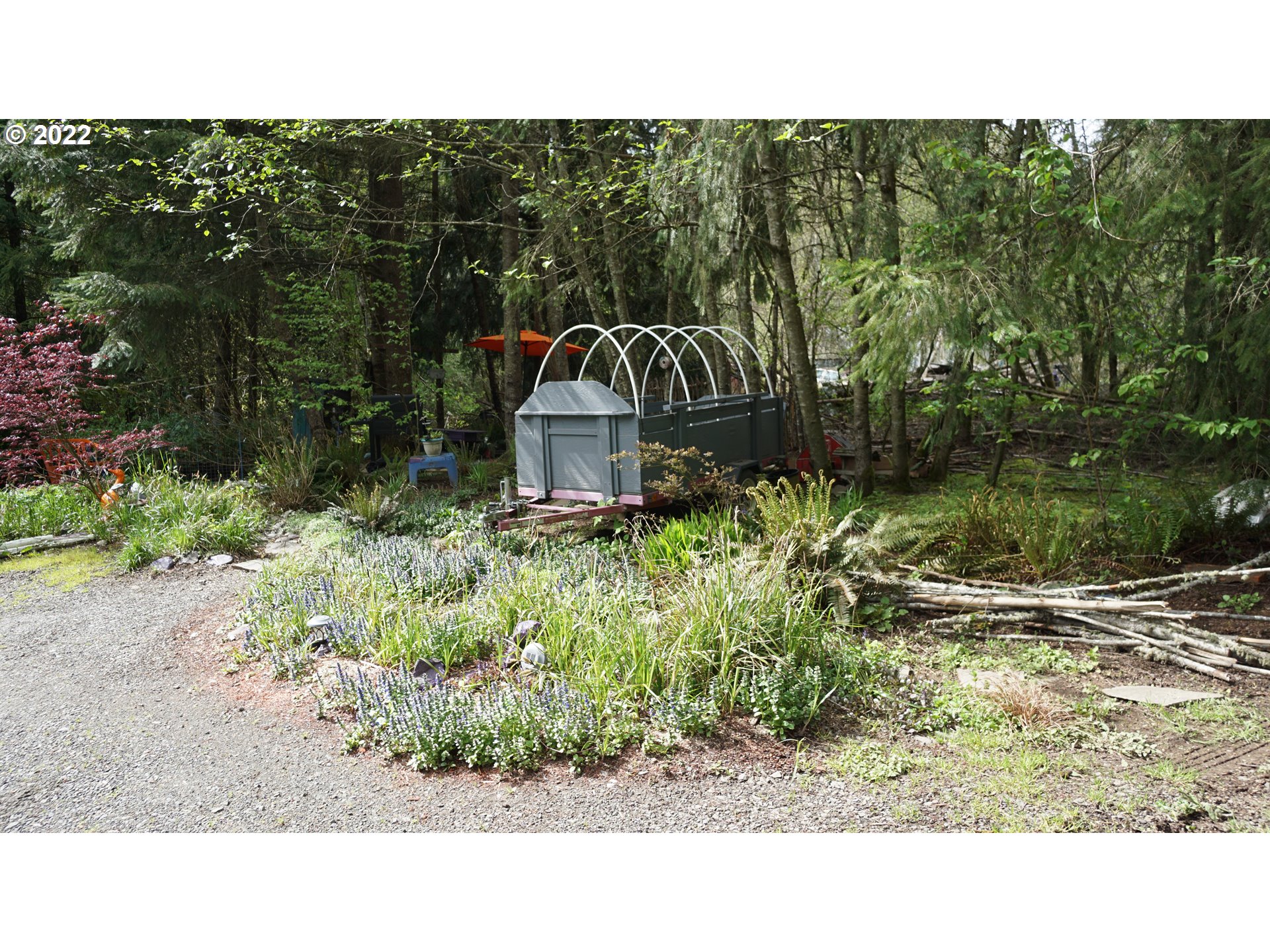 29191 Thistle Hill Road Rainier, OR 97048 - Photo 6 of 14 a view of a back yard