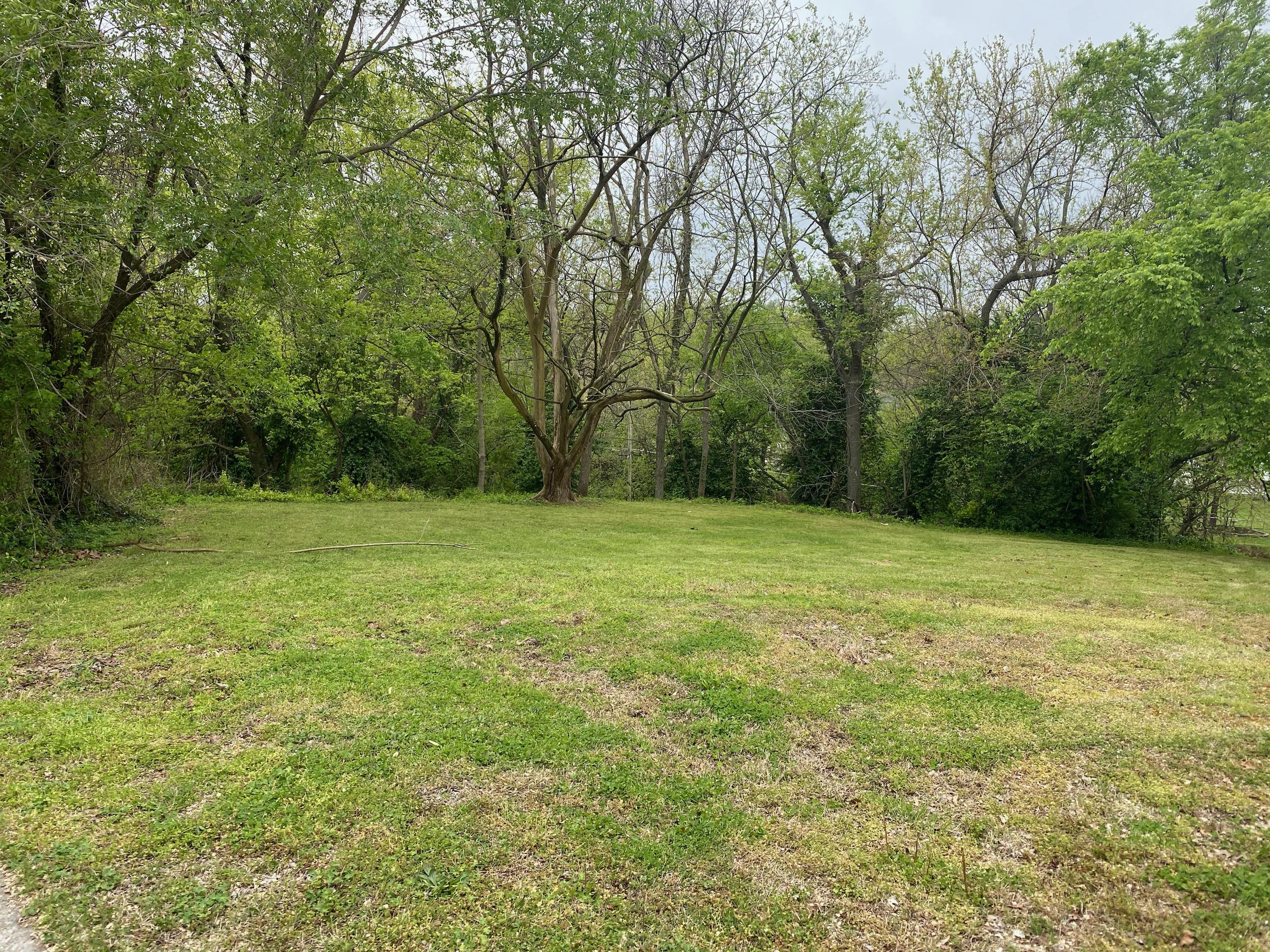 Lot 6 Golf Road Webb City, MO 64870 - Photo 1 of 1 IMG_0598