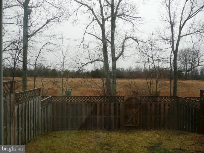 41851 Cinnabar Square Stone Ridge, VA 20105 - Photo 12 of 16 Back yard