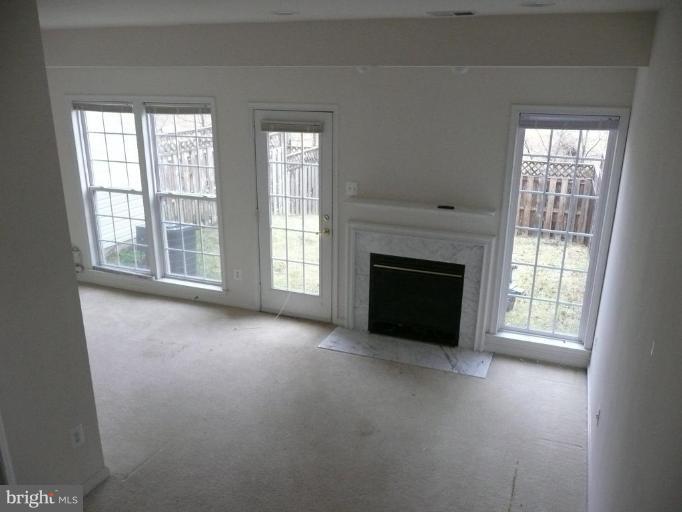 41851 Cinnabar Square Stone Ridge, VA 20105 - Photo 14 of 16 Fireplace