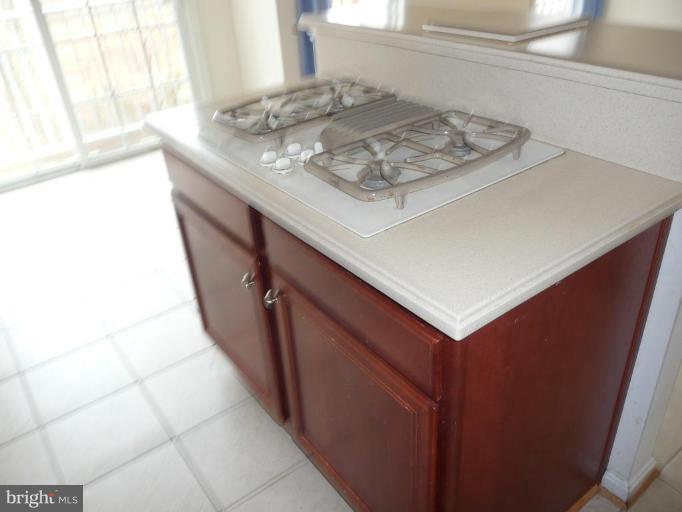 41851 Cinnabar Square Stone Ridge, VA 20105 - Photo 7 of 16 Other #1