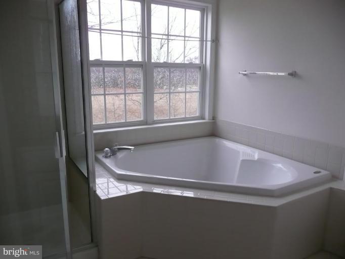 41851 Cinnabar Square Stone Ridge, VA 20105 - Photo 8 of 16 Master Bath