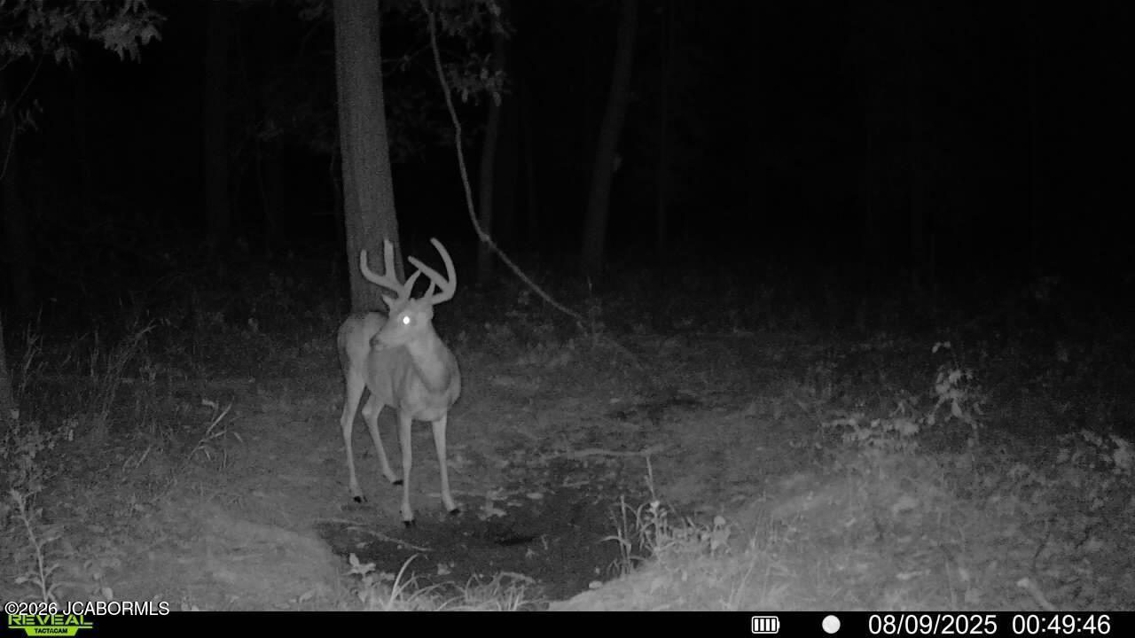 Tbd State Route East Glasgow, MO 65254 - Photo 58 of 67 Gallery Image 58