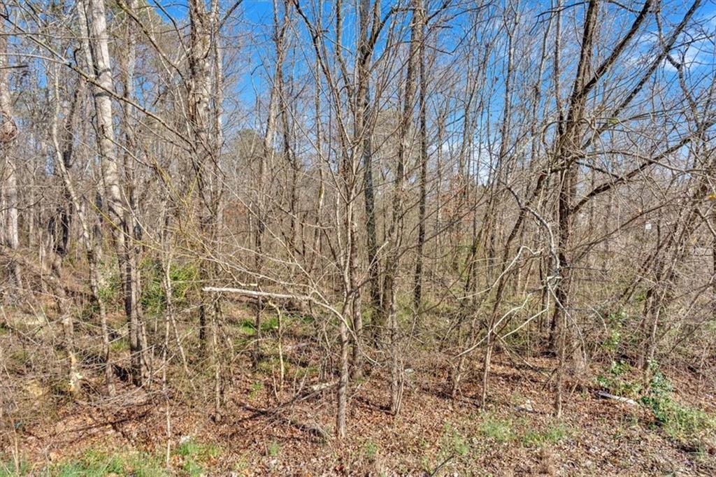 0 Martha Berry Highway Rome, GA 30165 - Photo 13 of 18