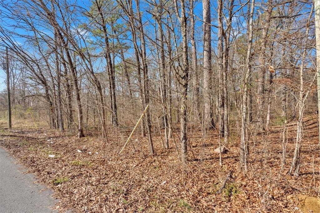 0 Martha Berry Highway Rome, GA 30165 - Photo 15 of 18