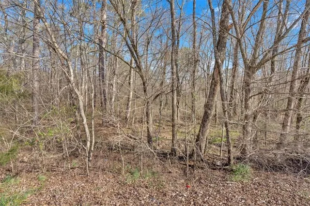 $115,000 | 0 Martha Berry Highway, Rome, GA 30165