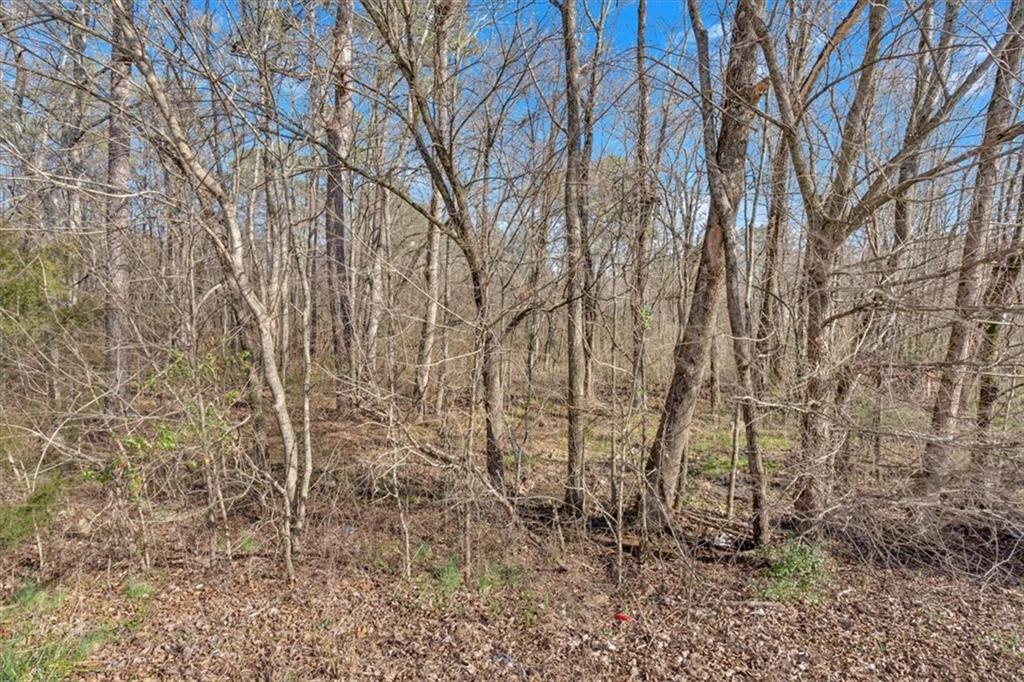 0 Martha Berry Highway Rome, GA 30165 - Photo 18 of 18