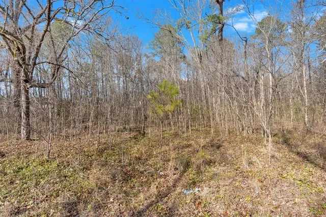 $115,000 | 0 Martha Berry Highway, Rome, GA 30165