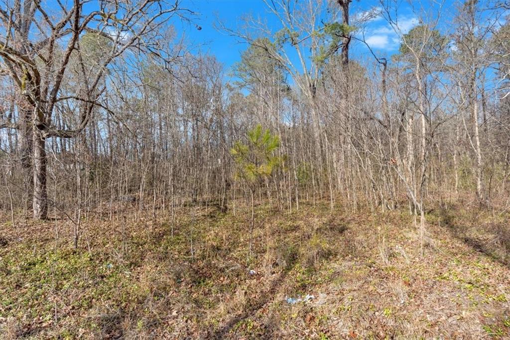 0 Martha Berry Highway Rome, GA 30165 - Photo 9 of 18