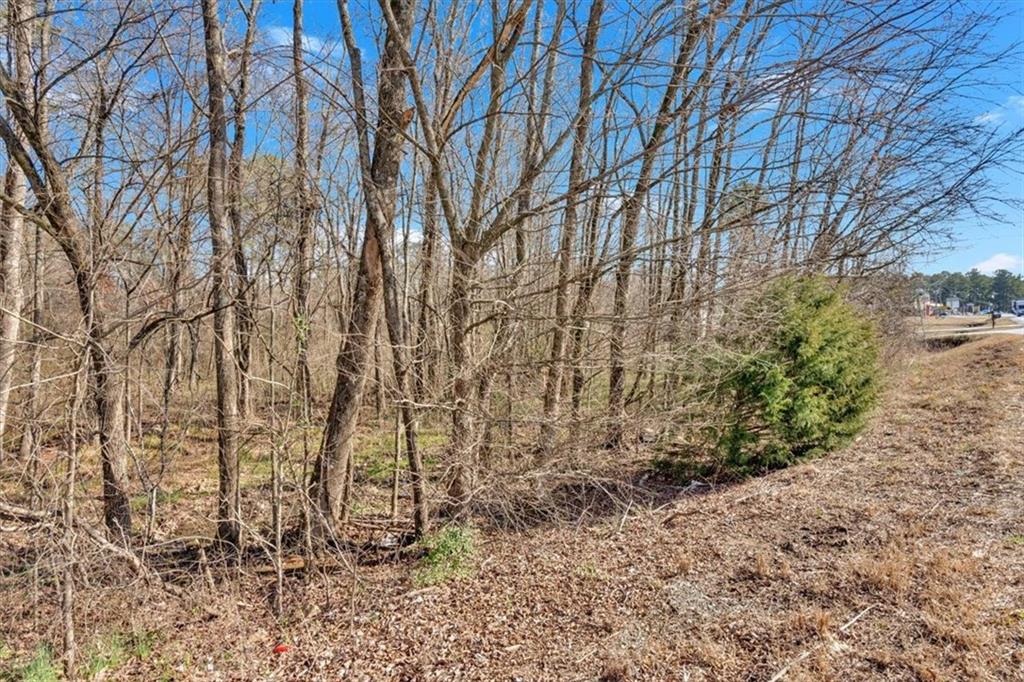 0 Martha Berry Highway Rome, GA 30165 - Photo 10 of 18