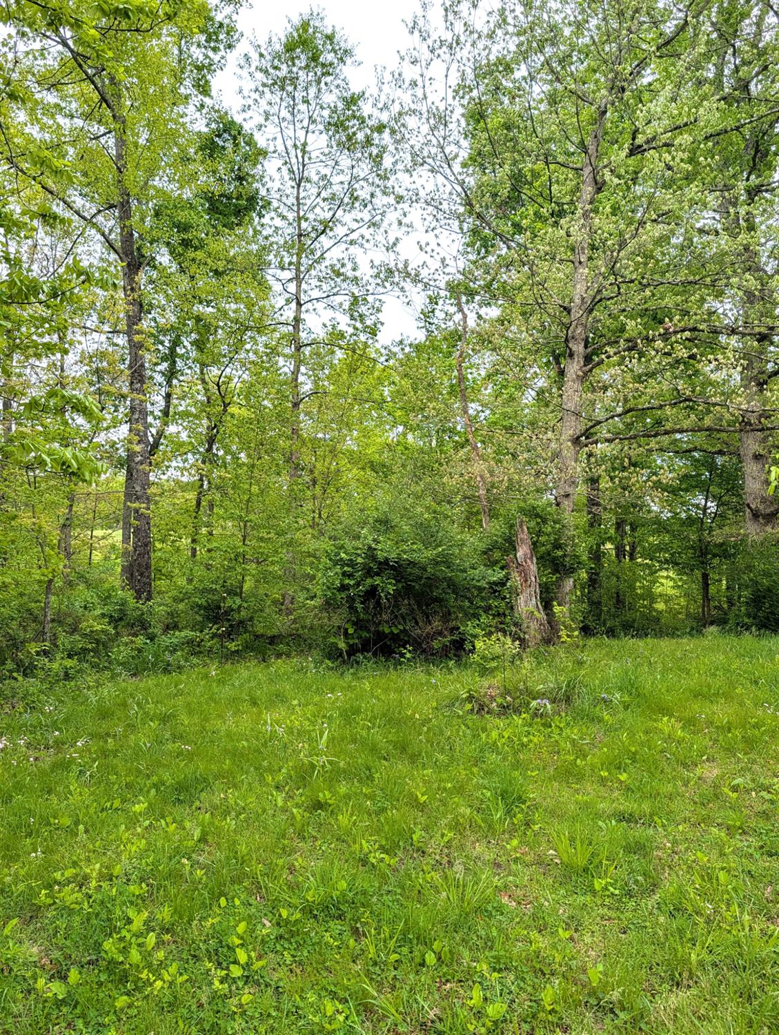 0 Longbranch Road Moores Hill, IN 47032 - Photo 23 of 25