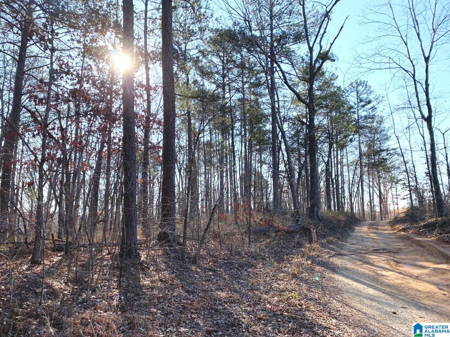 214 County Road, Unit 10 Fruithurst, AL 36262 - Photo 7 of 11