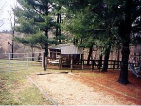 341 Maple Swamp Road Chuckey, TN 37641 - Photo 4 of 5 Photo 4