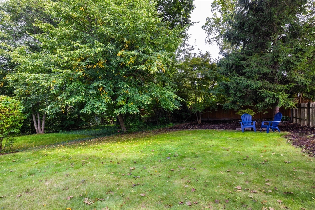 18 Wolcott Road Brookline, MA 02467 - Photo 19 of 19 a view of a deck with a big yard