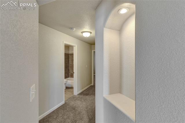 11335 Rill Point Colorado Springs, CO 80921 - Photo 30 of 41