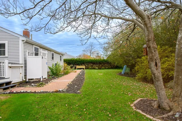 a view of a backyard with plants and large tree
