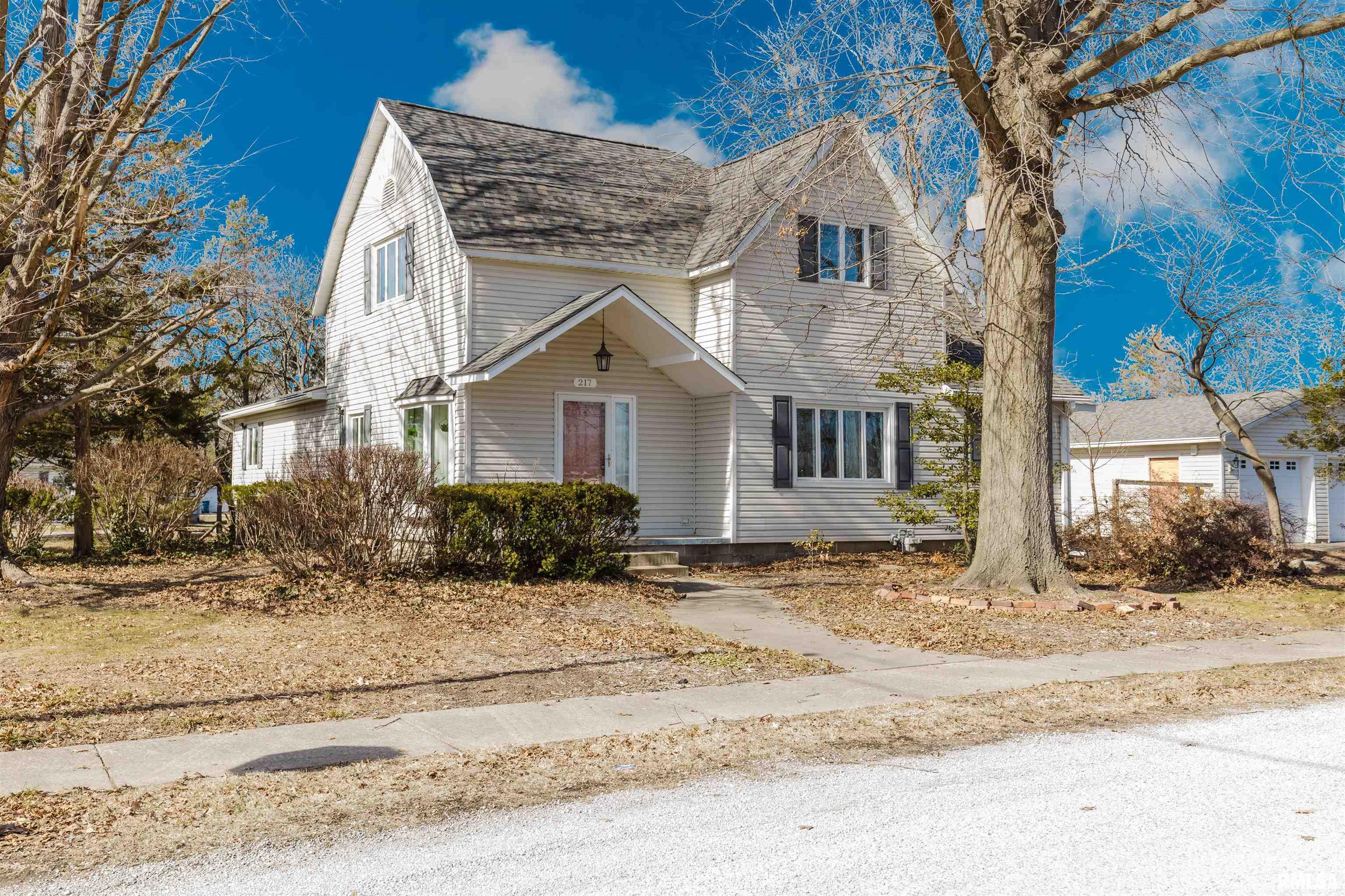 217 Jackson Street Hurst, IL 62949 - Photo 2 of 42