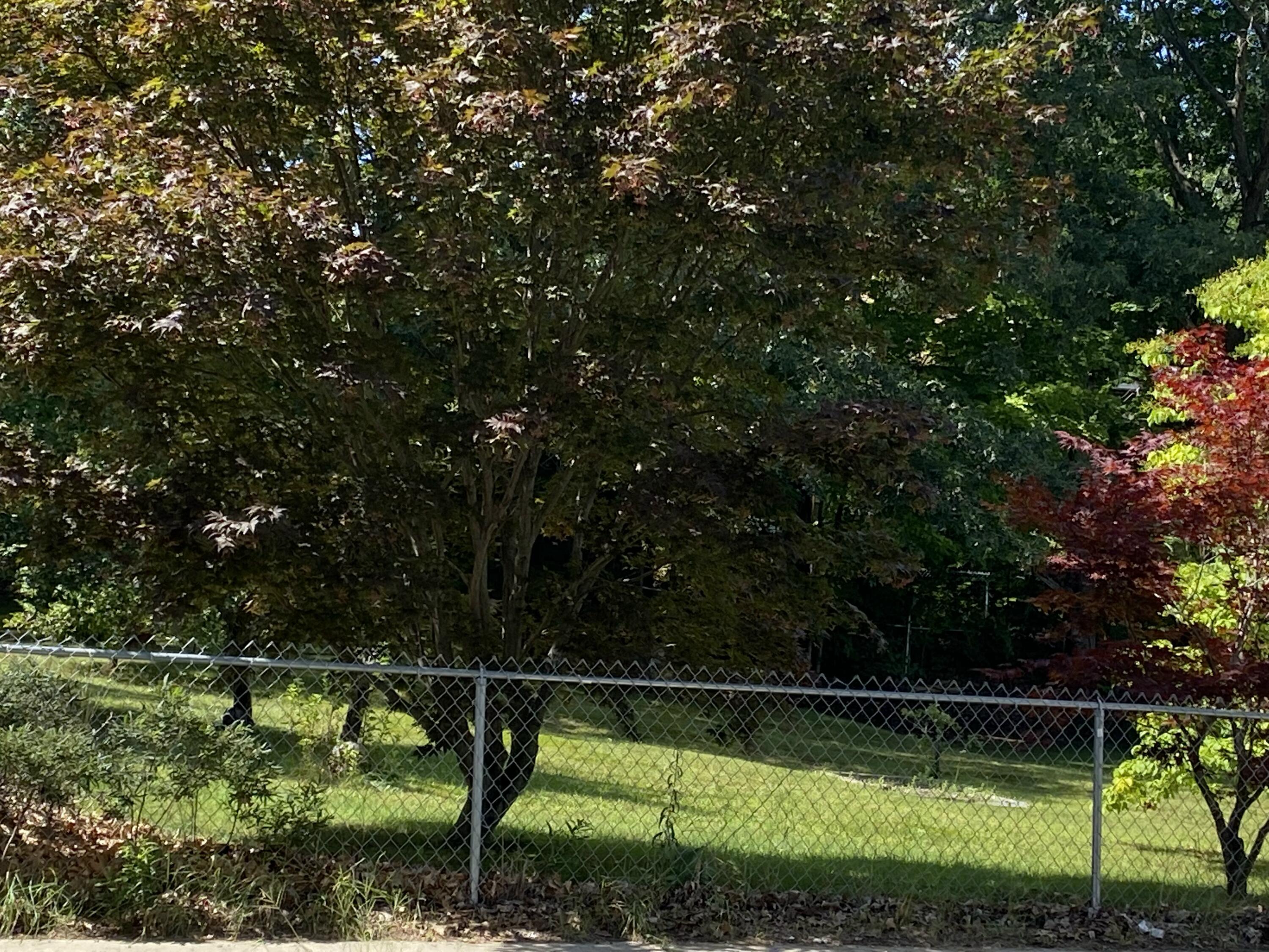 91 Twombley Road Sanford, ME 04073 - Photo 3 of 21 49F7E935-4829-4EC8-B02C-716D0FD5D2CB
