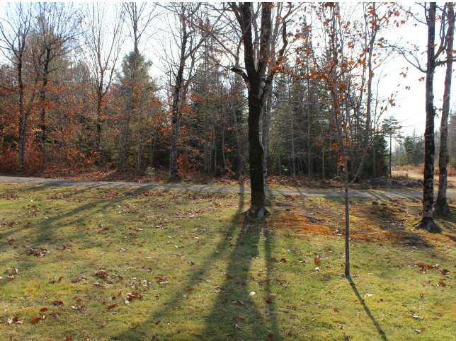 219 Town Farm Road Bucksport, ME 04416 - Photo 29 of 29 Yard/Garden.