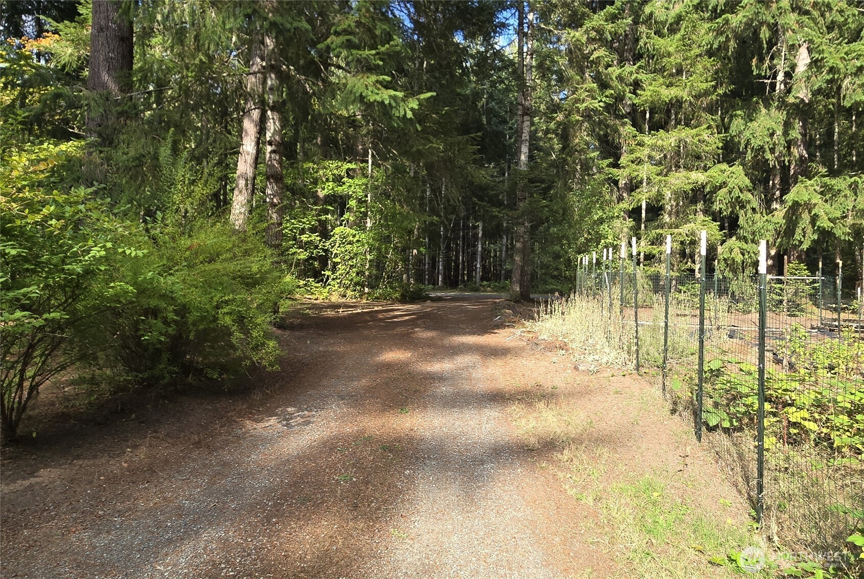 701 Mineral Hill Road Mineral, WA 98355 - Photo 33 of 40 a view of yard
