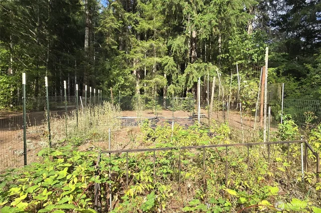 $498,000 | 701 Mineral Hill Road, Mineral, WA 98355