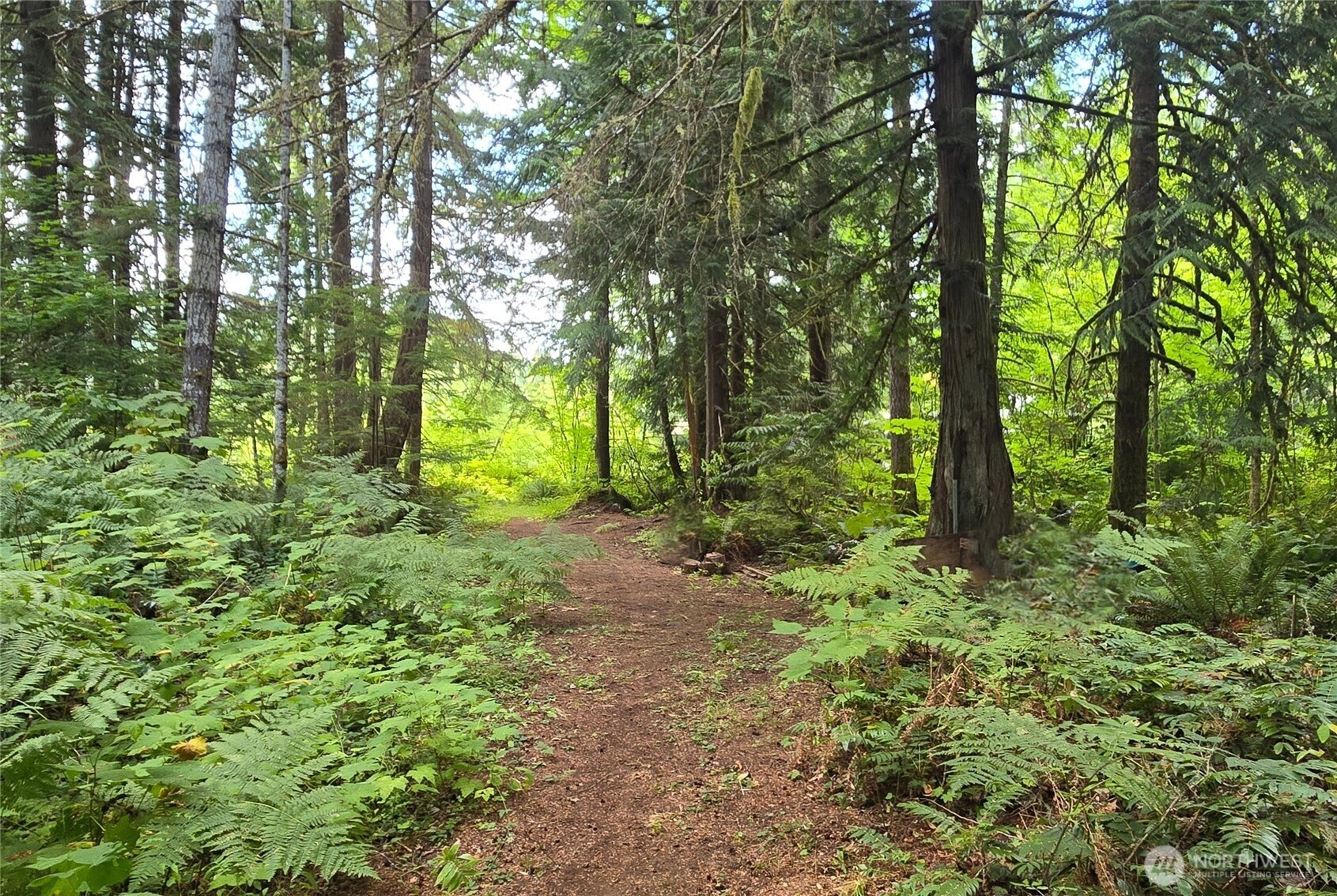 701 Mineral Hill Road Mineral, WA 98355 - Photo 36 of 40 a view of outdoor space and trees all around