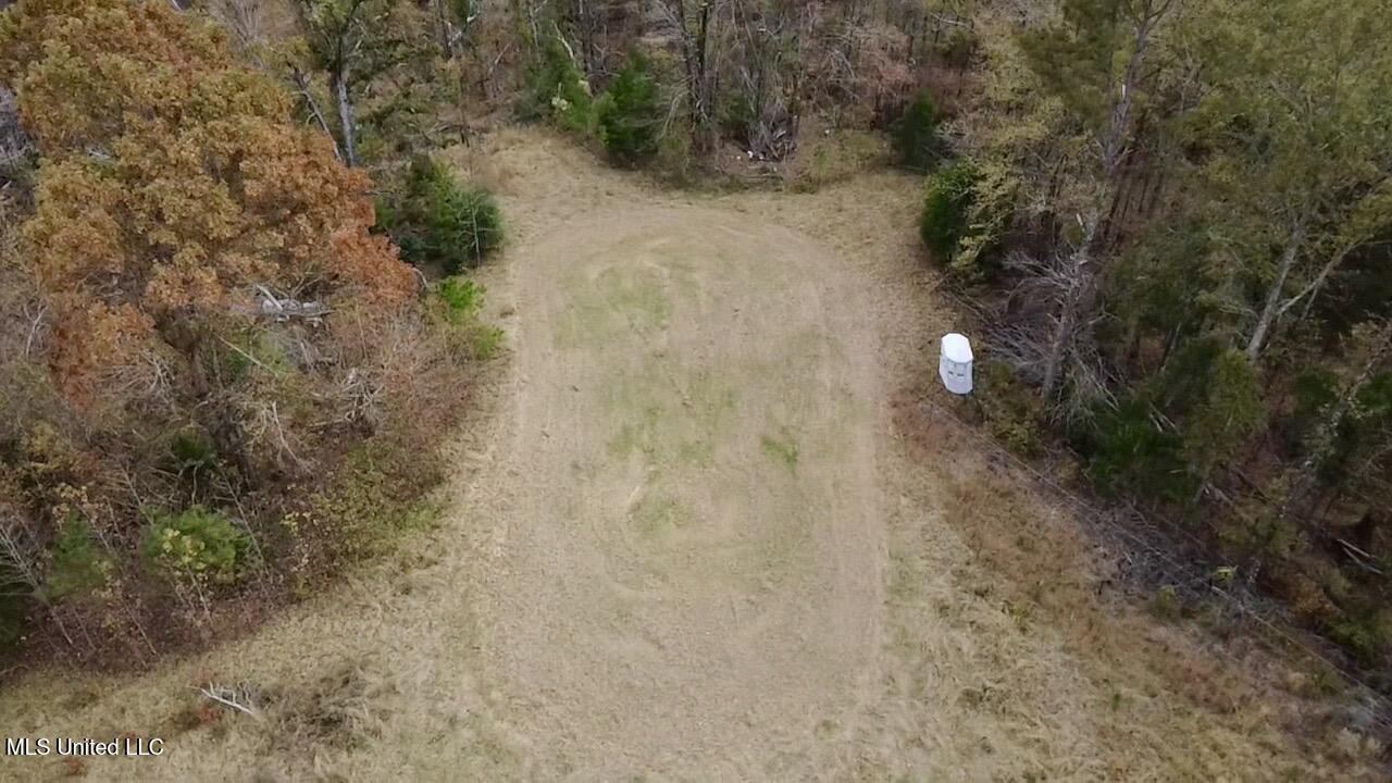 Border Road Carrollton, MS 38917 - Photo 11 of 26 2025-11-17-12-25-10-190