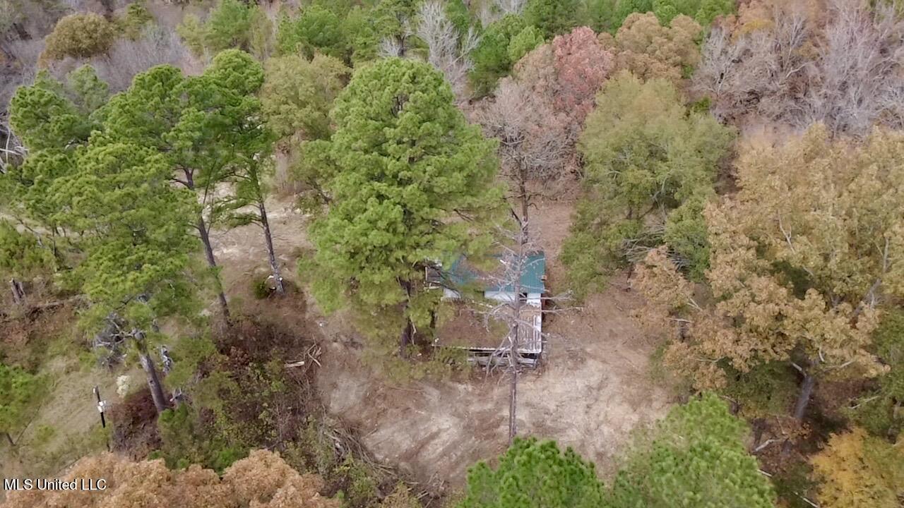 Border Road Carrollton, MS 38917 - Photo 12 of 26 2025-11-17-12-25-50-410