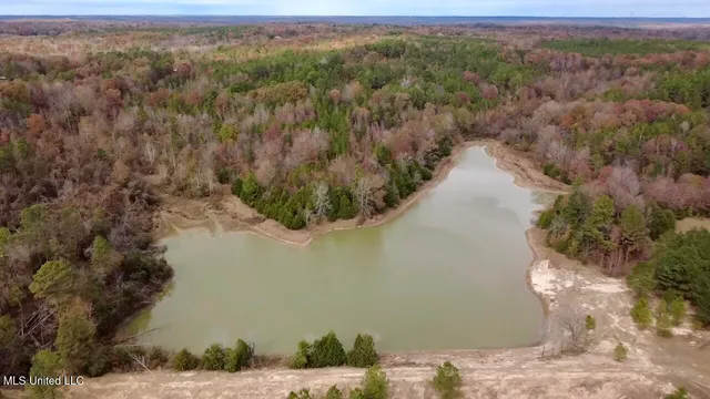 $415,800 | Border Road, Carrollton, MS 38917